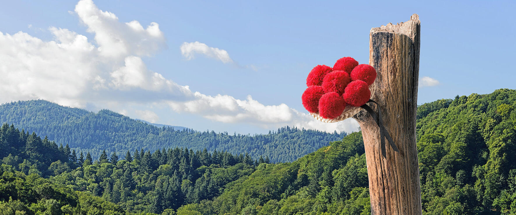 Zu Besuch im Schwarzwald Zu Besuch im Schwarzwald