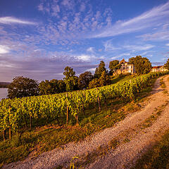 Wanderweg und Aussicht am westlichen Bodensee