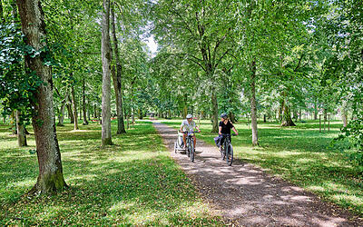 Mit dem Fahrrad rund um Meßkirch