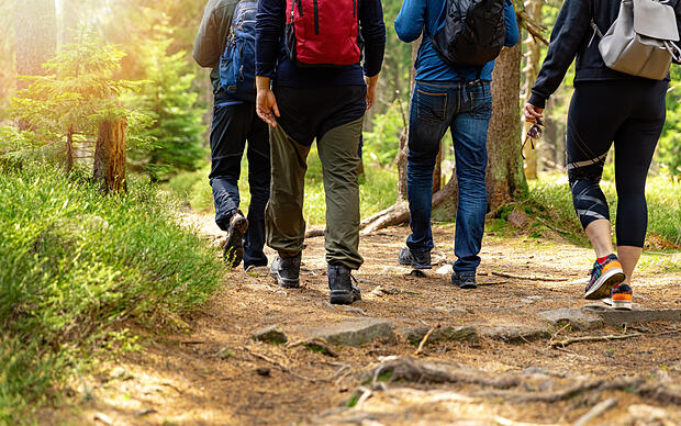 Personen wandern im Wald