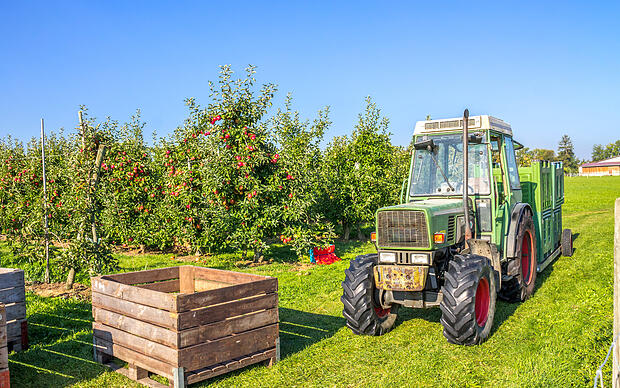 Der Herbst ist Erntezeit