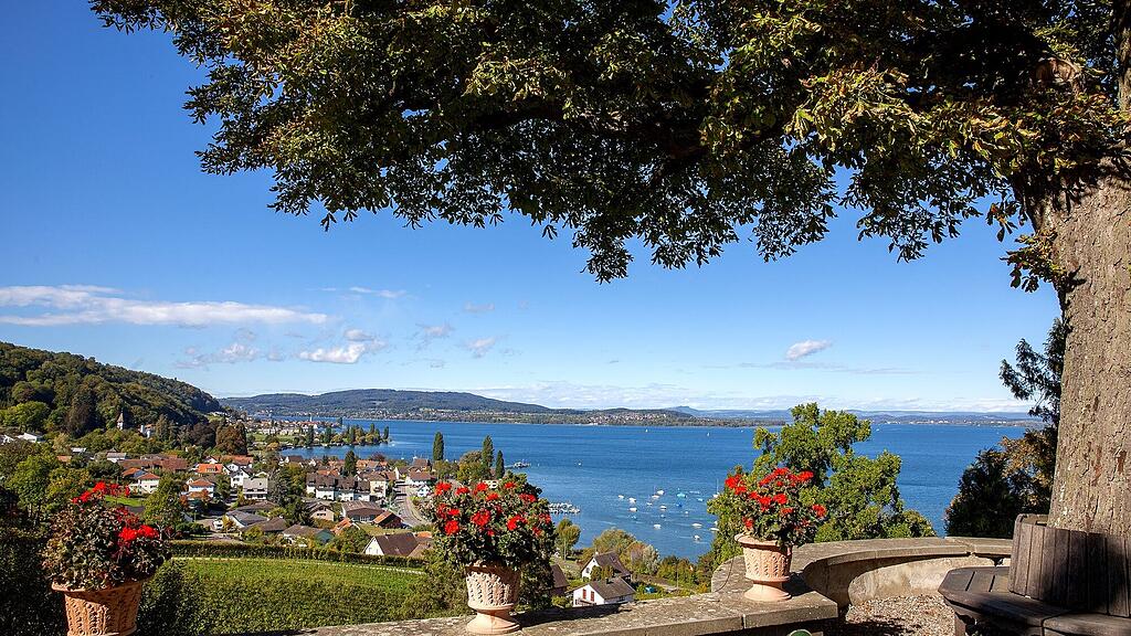 Ausblick vom Arenenberg auf den westlichen Bodensee
