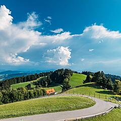 Pfänderdohle bei blauem Himmel mit Bergblick