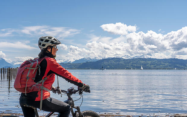 Den Bodensee mit dem Fahrrad erkunden
