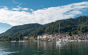 Blick vom Bodensee auf das Ufer von Bodman