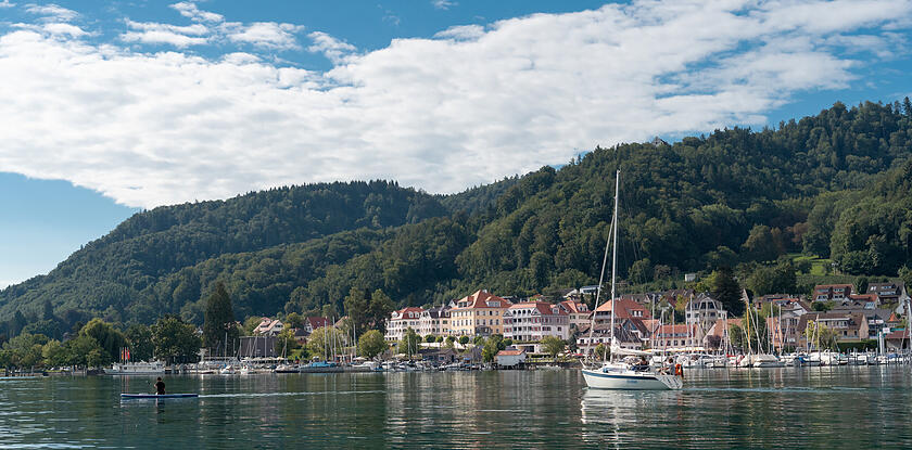 Blick vom Bodensee auf das Ufer von Bodman