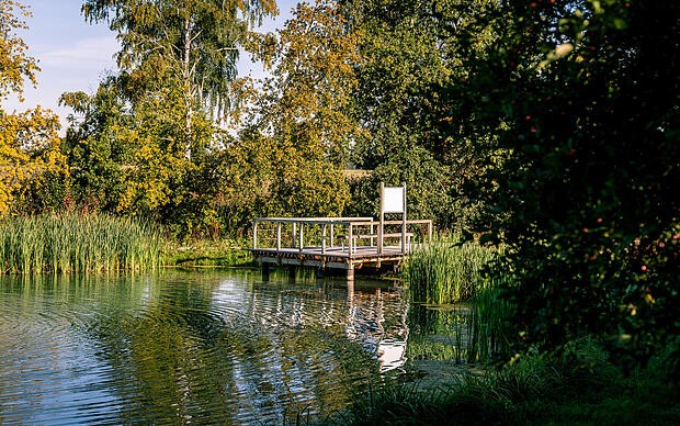 Wald, Wiese, Wasser und Moor entdecken