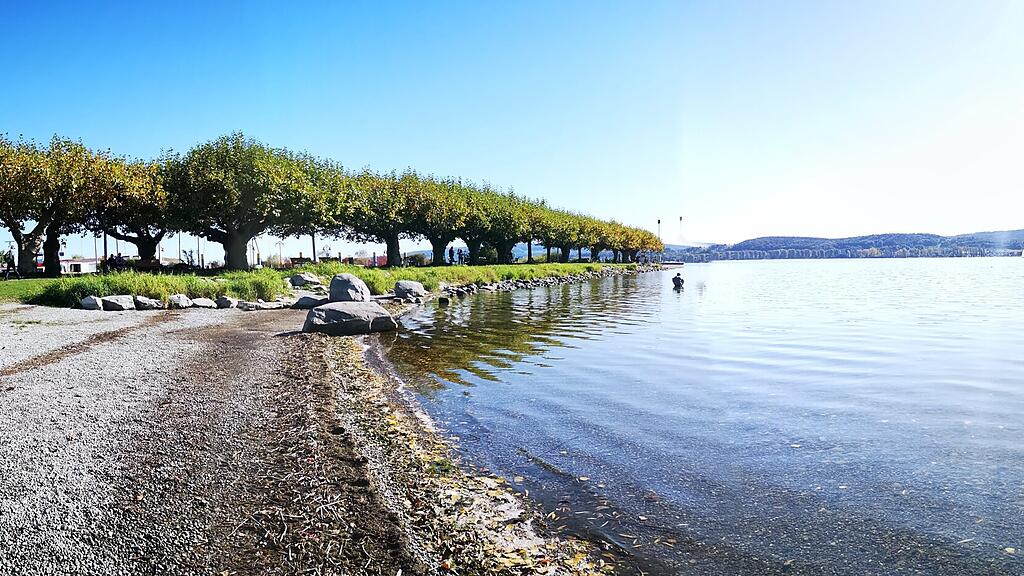 Panoramablick über Radolfzell am Bodensee im Sommer mit blauen Himmel