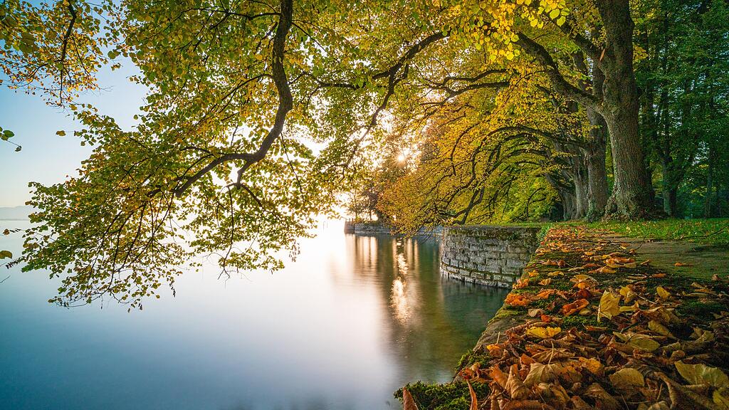 Park und Bodenseeufer im Herbst