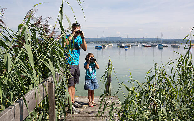 Vater und Tochter erkunden mit Ferngläser die Natur der Halbinsel Höri am Bodensee