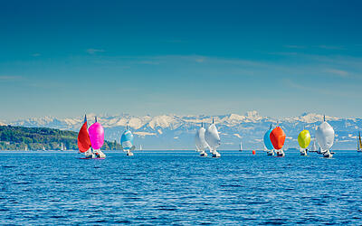 Bunte Segelschiffe unterwegs auf dem Bodensee