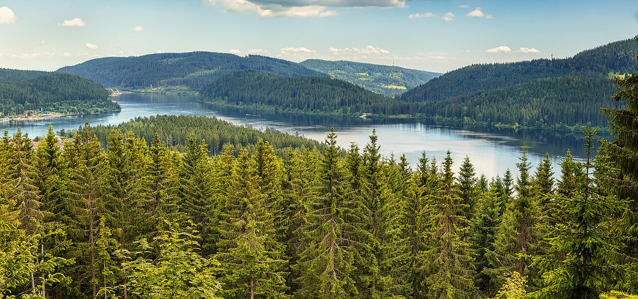 Luftaufnahme vom Schluchsee Schluchsee Luftaufnahme vom Schluchsee Schluchsee