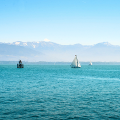 Segelboote auf dem Bodensee