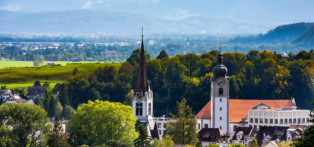 Naturaufnahme mit Gebäudespitzen bei St. Gallen