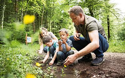 Idyllische Wege rund um Stockach