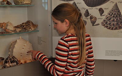 Kinderführung „Leben am Hofe“ Kinder entdecken Fossilien im Neuen Schloss Meersburg