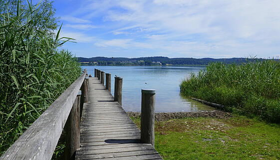 Steg im Naturschutzgebiet Wollmatinger Ried am Bodensee