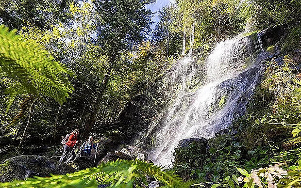 ZweiTälerSteig Schwarzwald Kaskaden