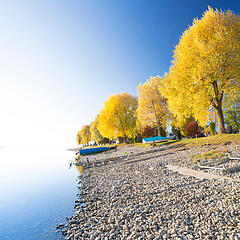 Seeufer am Seegarten in Allensbach mit Blick auf den Bodensee