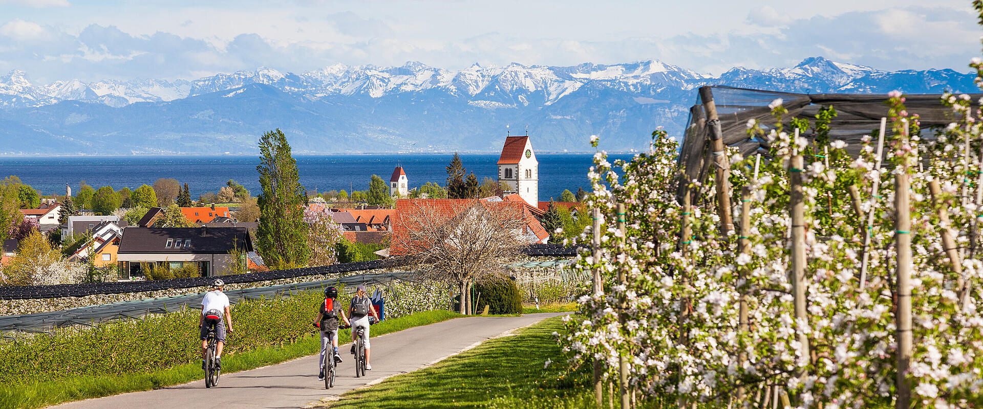 Ferienwohnungen in Immenstaad