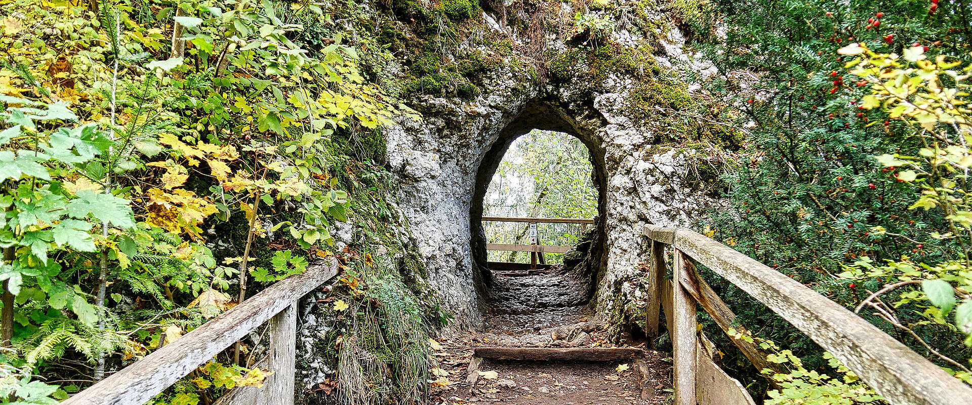 Donau Felsengarten