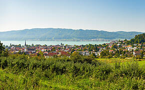 Panoramaaufnahme von Bodman-Ludwigshafen mit dem Bodensee im Hintergrund