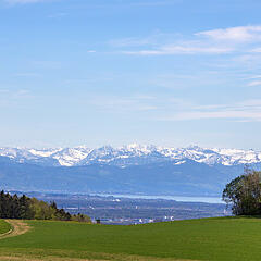 Blick auf den Gehrenbergturm mit Bergpanorama