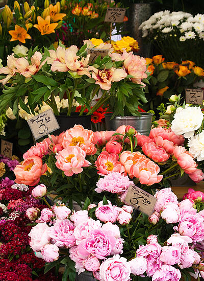 Pfingstmarkt in Radolfzell