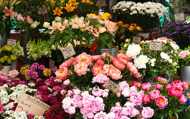 Pfingstmarkt in Radolfzell