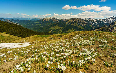 Hohenems Wandertour