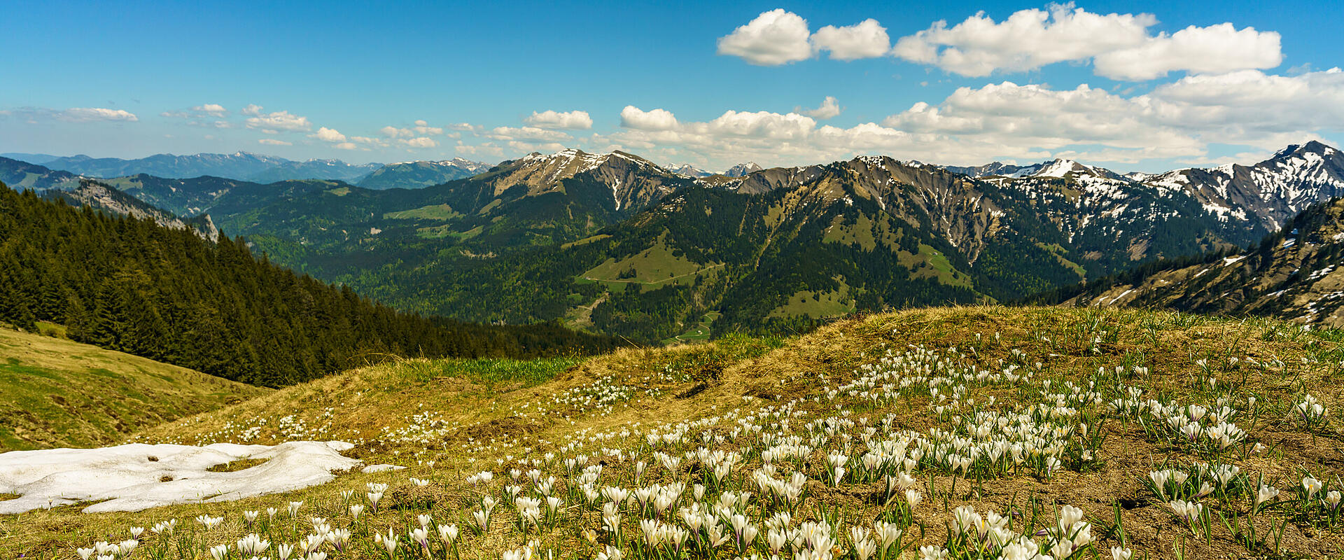 Hohenems Wandertour