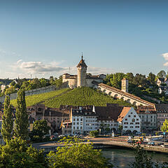 Blick von der Stadt Schaffhausen auf den Berg und die Festung Munot