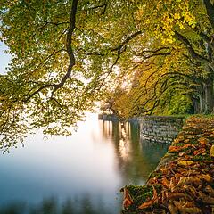 Lindenhofpark in Lindau mit Blick auf den Bodensee im Herbst Lindenhofpark in Lindau mit Blick auf den Bodensee im Herbst