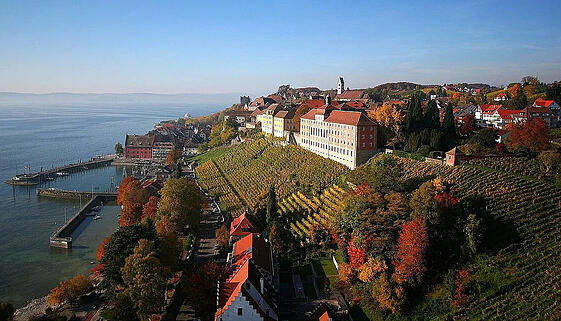 Blick auf den Südhang von Meersburg