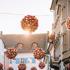 Mit Blumen geschmückte Altstadt in Konstanz