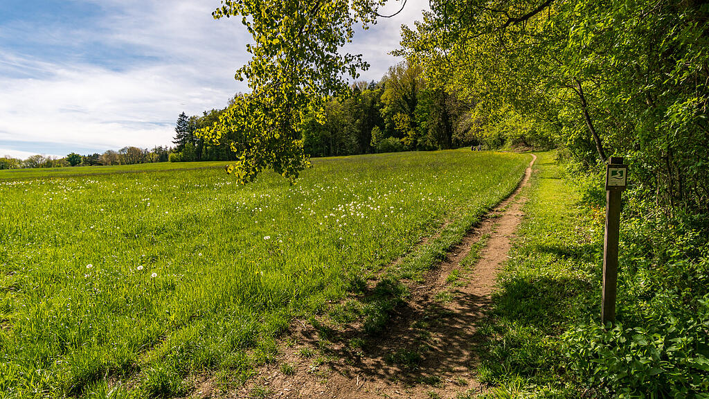 Wanderweg GuckInsLand Salem
