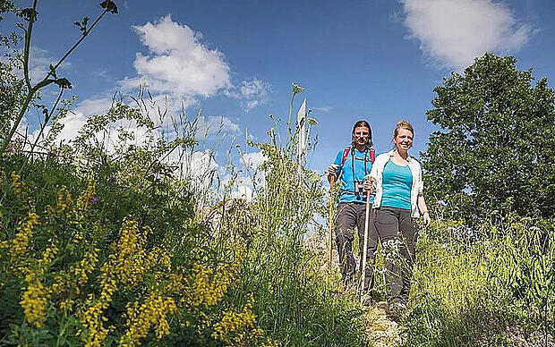Runter zur Donau, rauf zur Burg Abstieg