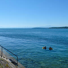 Zwei Taucher im Bodensee bei Meersburg Zwei Taucher im Bodensee bei Meersburg