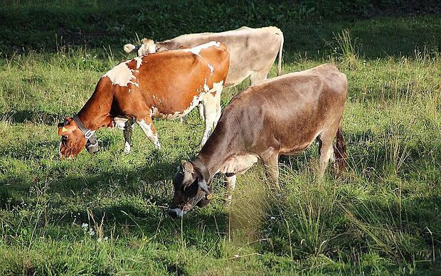Traumhafte Kulissen Natur erleben