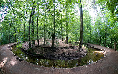 Wandern in Weingarten