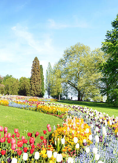 Bl&uuml;tenzauber und lange Nacht der Bodenseeg&auml;rten am Bodensee
