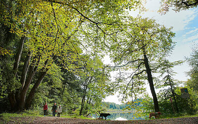 Wasserbauhistorischer Pfad in Weingarten
