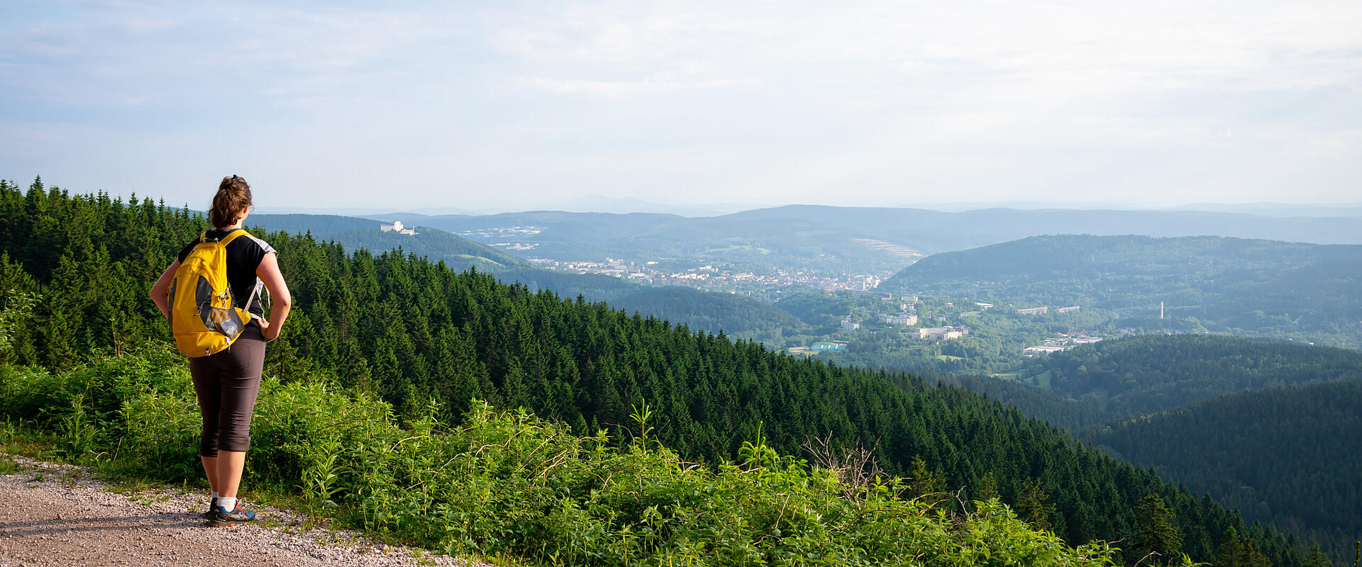 ZweiTälerSteig Schwarzwald