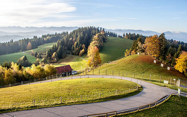 Blick vom Pfänder auf Wälder und Berge bei Nebel