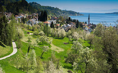 Seesicht-Tour Sipplingen