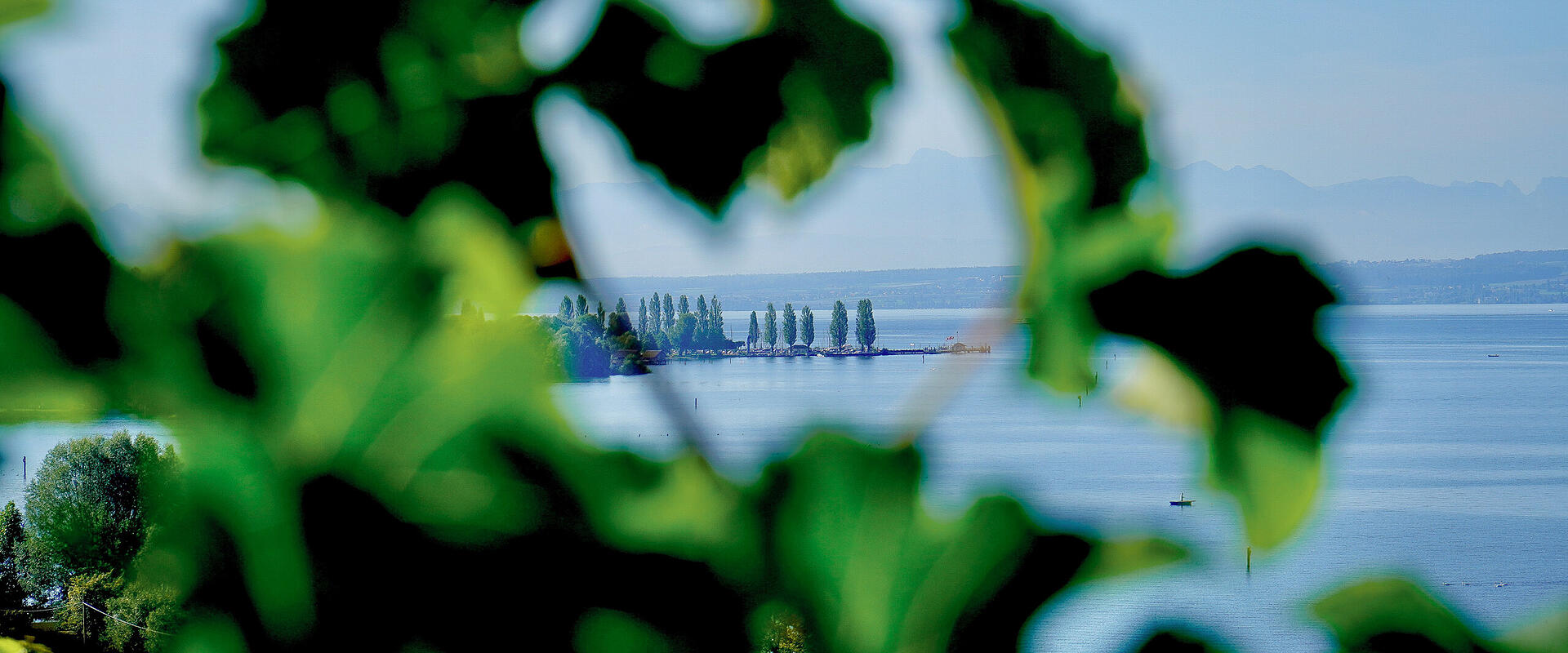 Die schönsten Mitbringsel vom Bodensee