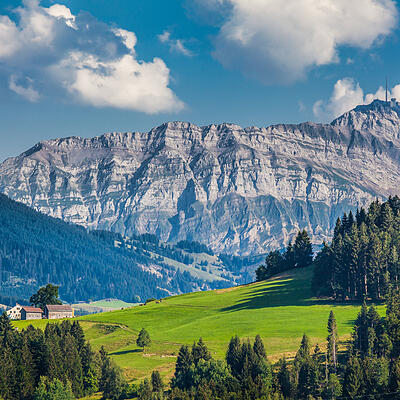 Blick auf den Säntis und die davorliegende Landschaft mit Wiesen, Wäldern und Bergen