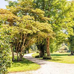 Stadtpark in Singn