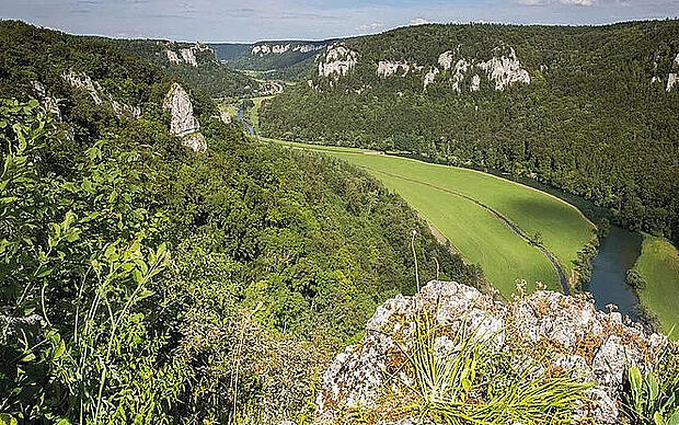 Felsenwelt im Prallhang der Donau Panoramablick