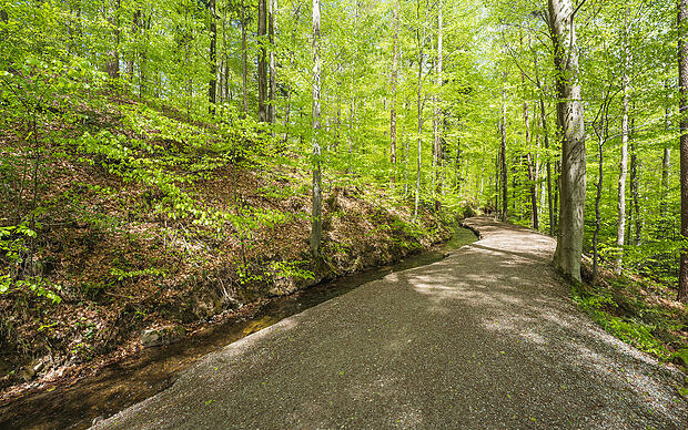 Spannende Pfade ins Lauratal